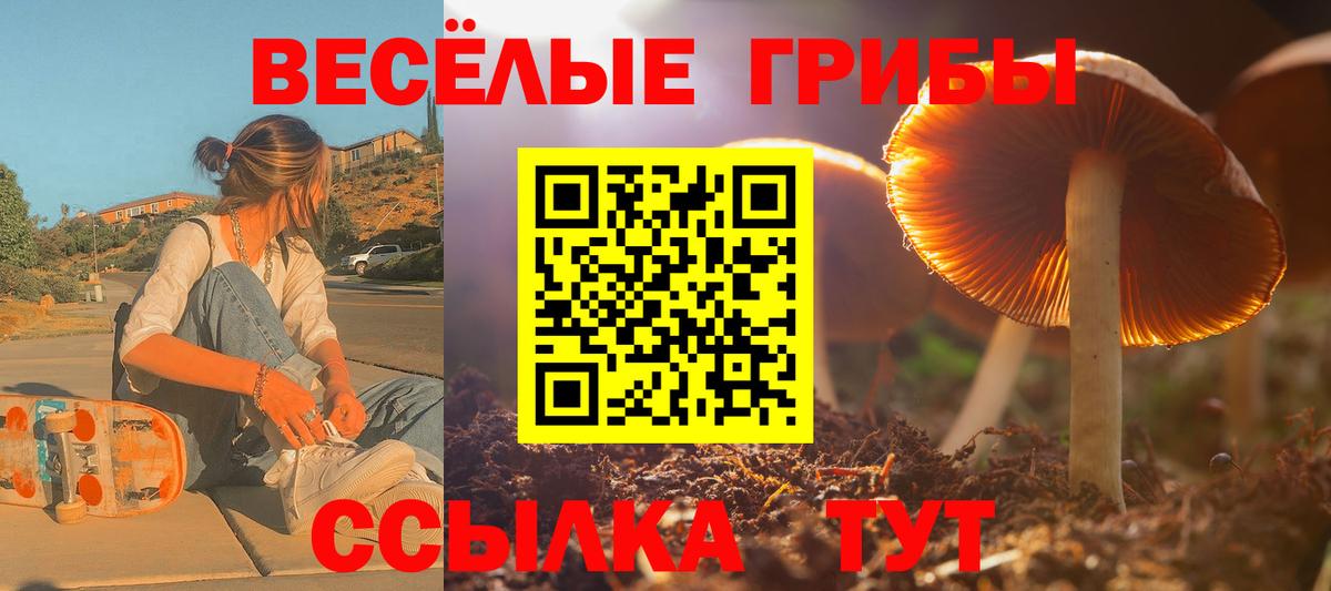 Великий Новгород  Галлюциногенные грибы ЛСД  Вход с VPN 